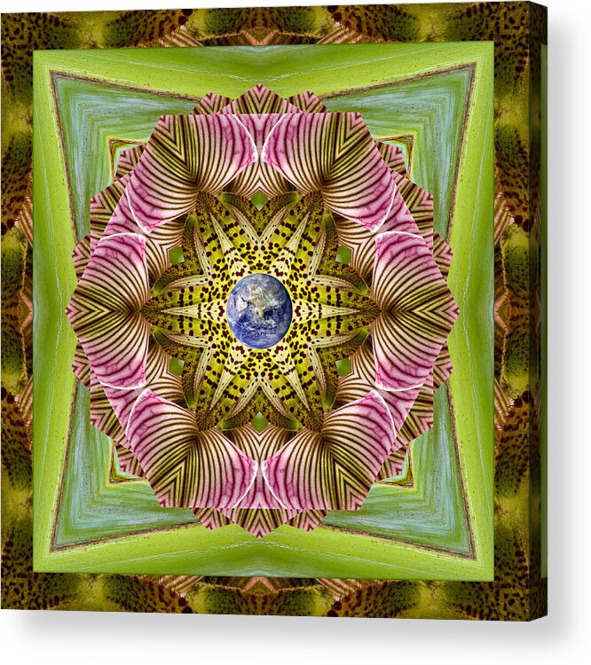 Mandalas Acrylic Print featuring the photograph EpiCenter by Bell And Todd
