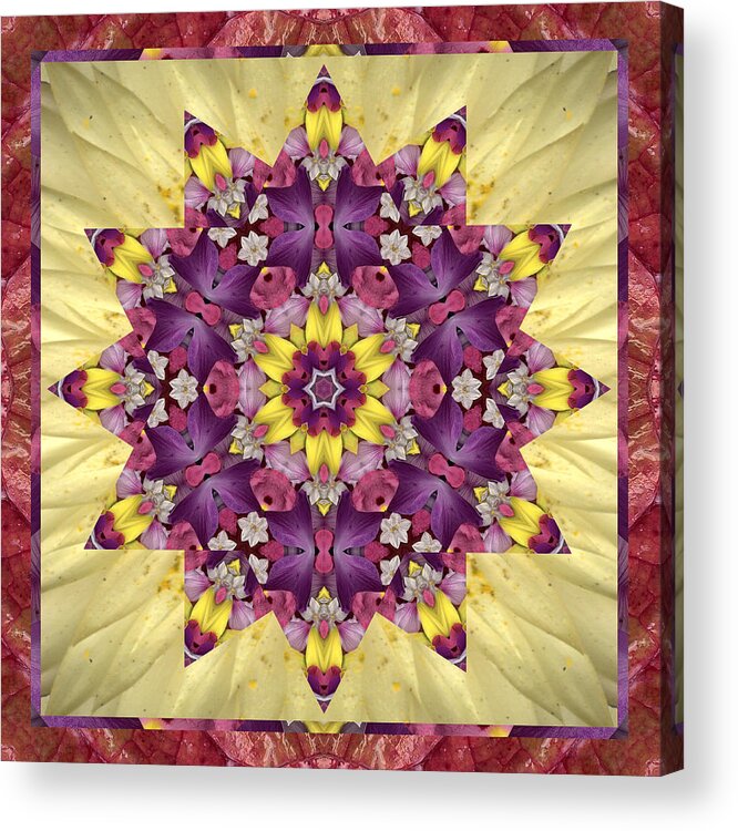 Mandalas Acrylic Print featuring the photograph Everlasting by Bell And Todd