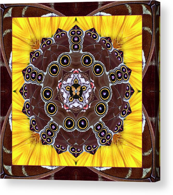 Yoga Art Acrylic Print featuring the photograph Eyes of Earth by Bell And Todd