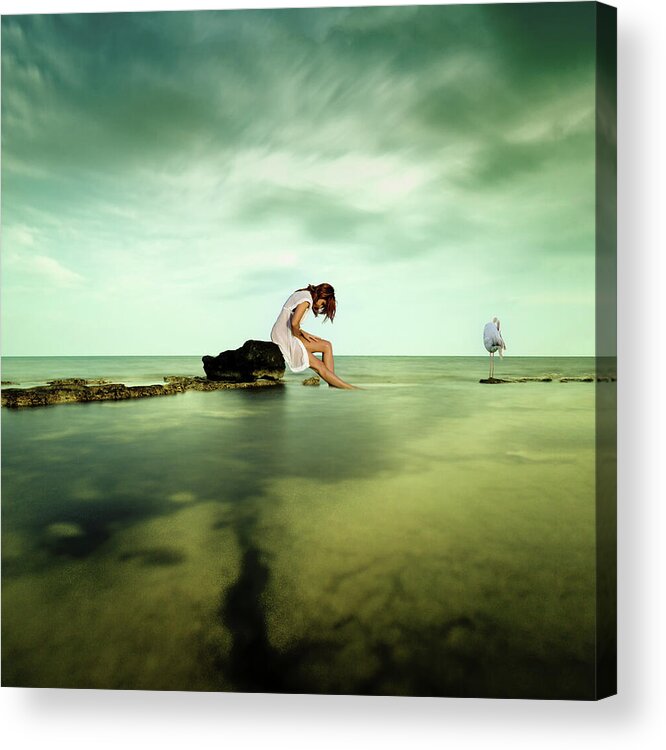 Flamingo Acrylic Print featuring the photograph Fairy Tale by Stelios Kleanthous