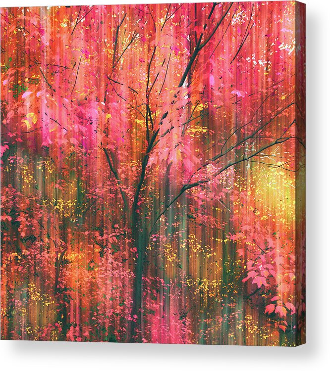 Autumn Acrylic Print featuring the photograph Falling into Autumn by Jessica Jenney