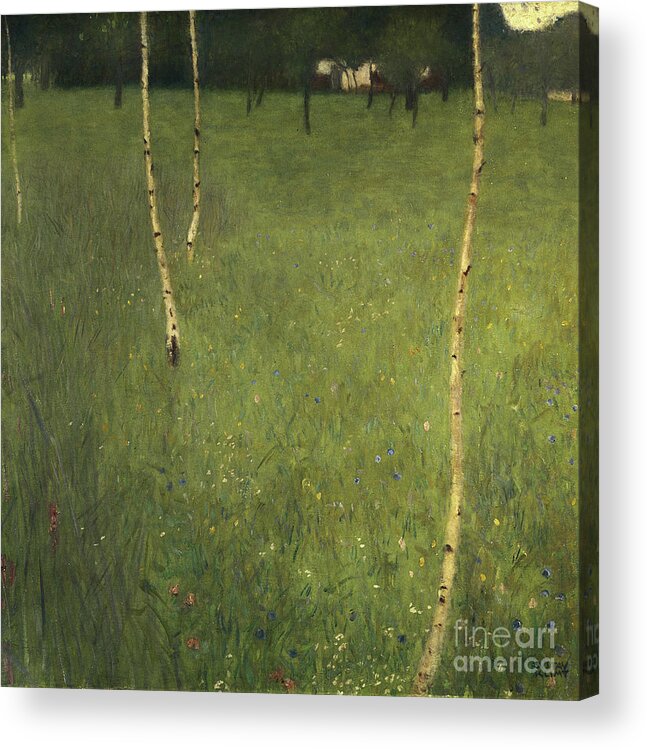 Farmhouse Acrylic Print featuring the painting Farmhouse with Birch Trees by Gustav Klimt