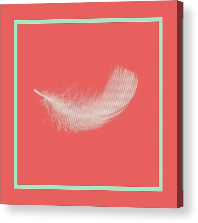 Pantone Cayenne Acrylic Print featuring the painting Feather by Bonnie Bruno