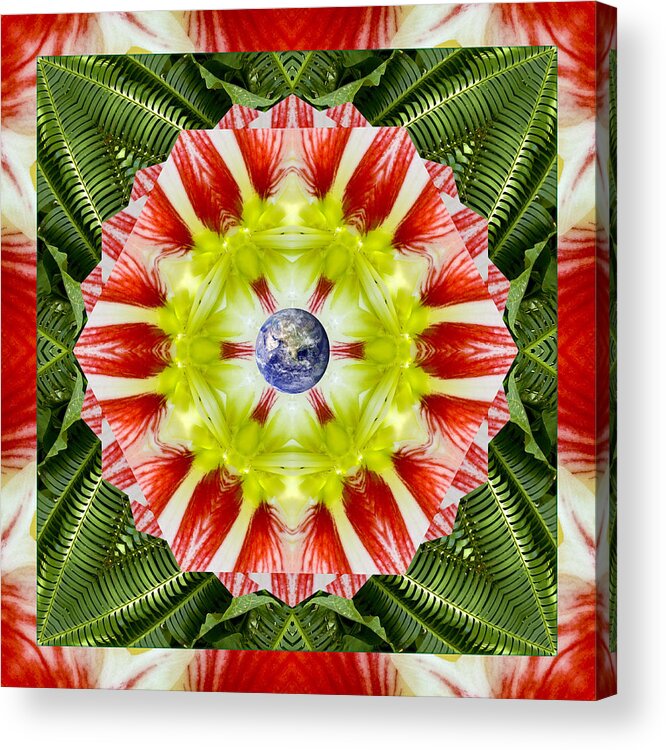 Mandalas Acrylic Print featuring the photograph Festivity by Bell And Todd