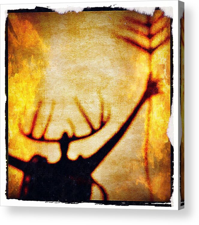 Iphone Acrylic Print featuring the photograph Fire Shaman by Paul Cutright