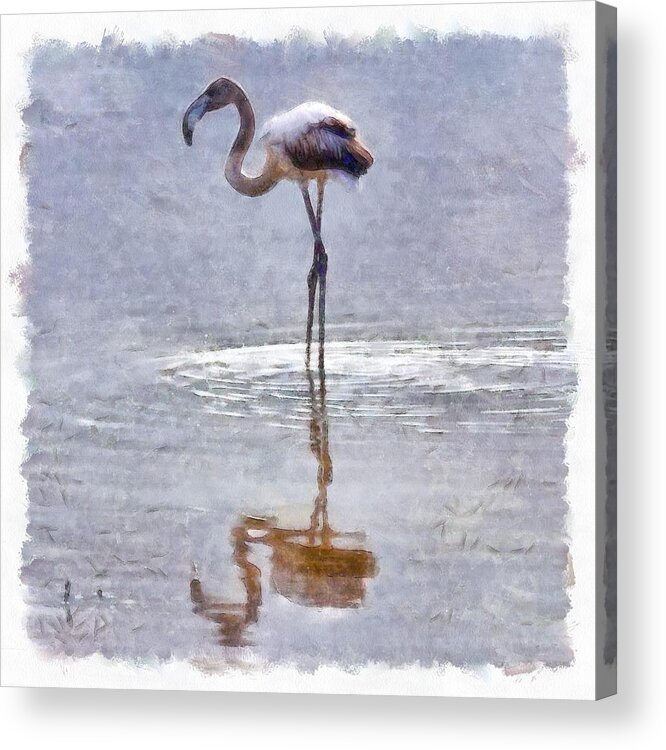 Flamingo Acrylic Print featuring the painting Flamingo Ripples and Reflections Watercolor by Taiche Acrylic Art