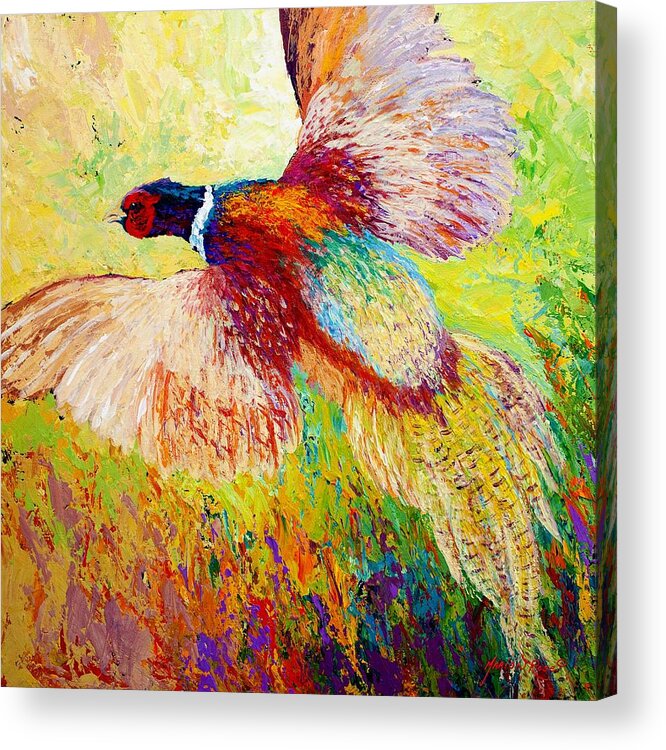 Pheasant Acrylic Print featuring the painting Flushed - Pheasant by Marion Rose