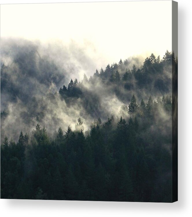 Oregon Acrylic Print featuring the photograph Fog Moving Through The Hills by KATIE Vigil