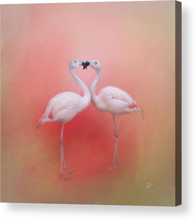 Flamingos Acrylic Print featuring the photograph Fond Flamingos by TK Goforth