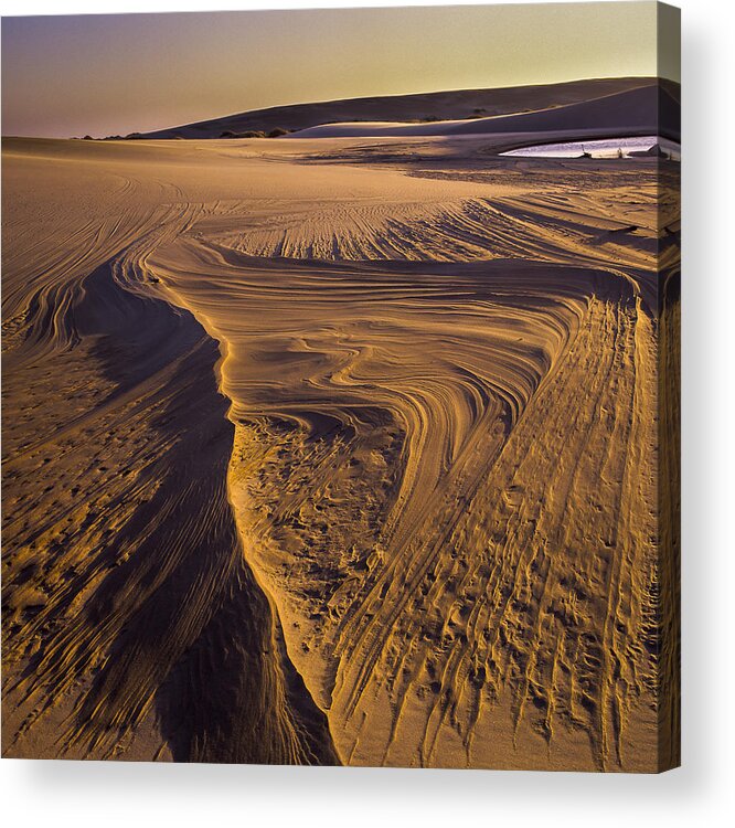 Dunes Acrylic Print featuring the photograph Footprint of the Wind by Robert Potts