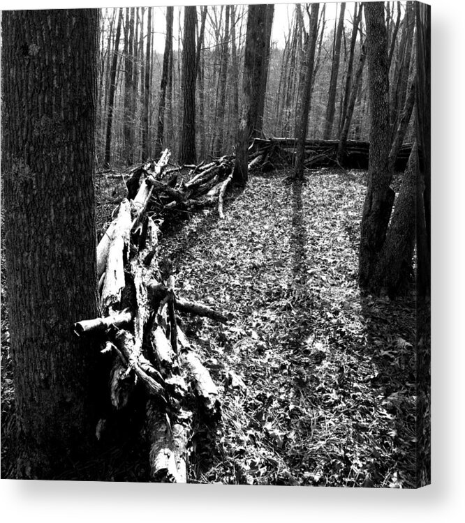 Woods Acrylic Print featuring the photograph Fortification by George Taylor