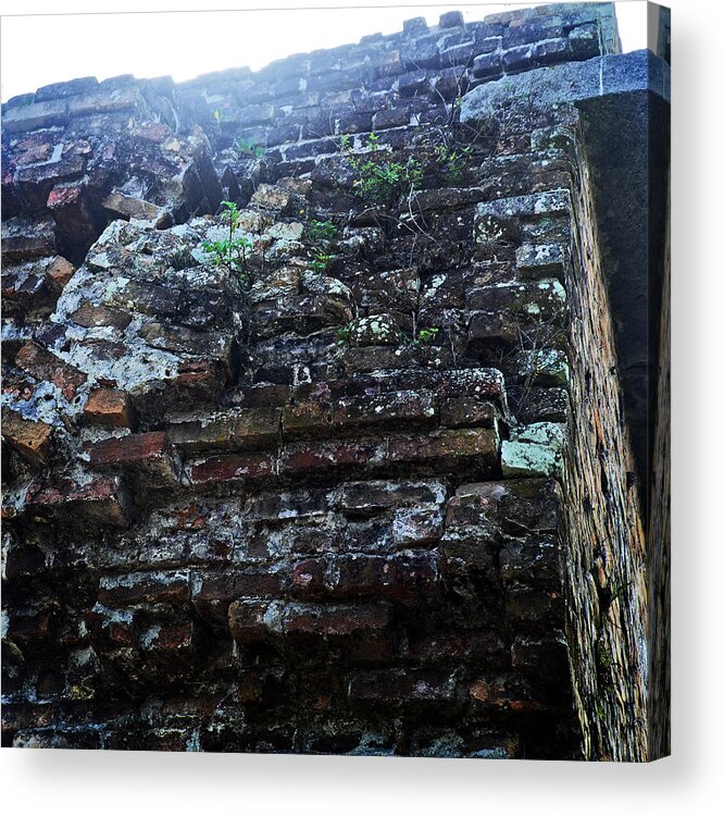 Fort Acrylic Print featuring the photograph Fortification Vegetation by George Taylor
