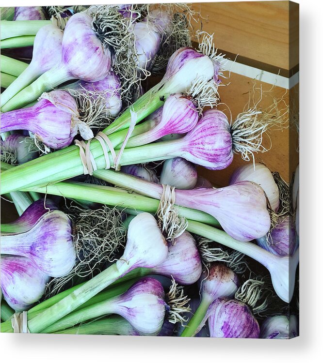 Garlic Acrylic Print featuring the photograph Fresh garlic from the summer garden by GoodMood Art