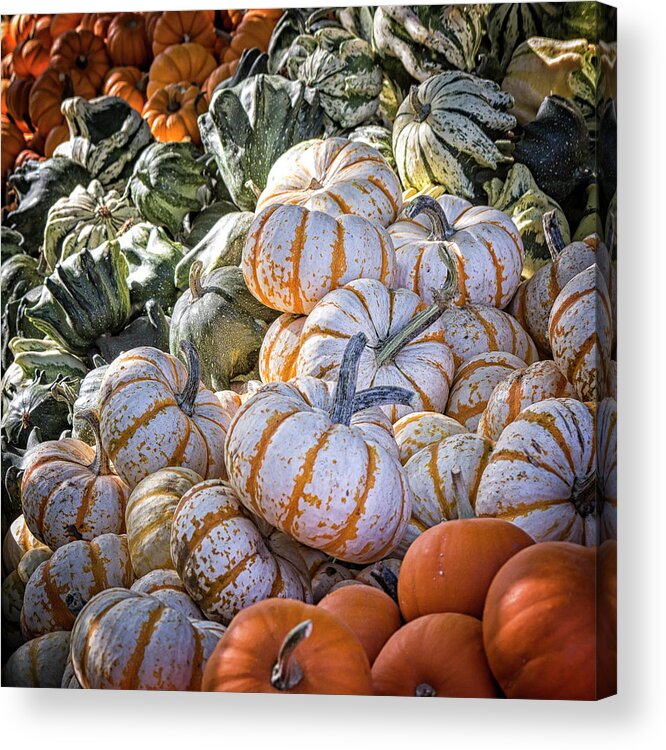 Squash Acrylic Print featuring the photograph From Thy Bounty by Caitlyn Grasso