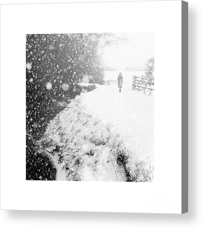 Frozen Moments Acrylic Print featuring the photograph Frozen Moments - Walking Away by Paul Davenport