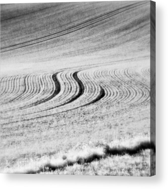 Field Acrylic Print featuring the photograph Furrows

#monochrome by Mandy Tabatt