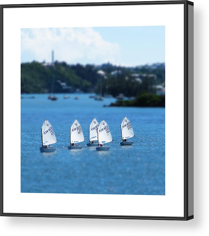Richard Reeve Acrylic Print featuring the photograph Gallery Image - Small World by Richard Reeve