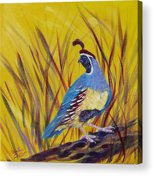 Southwest Acrylic Print featuring the painting Gamble Quail by Summer Celeste