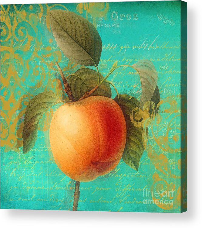 Apricots Acrylic Print featuring the painting Glowing Fruits Apricot by Mindy Sommers