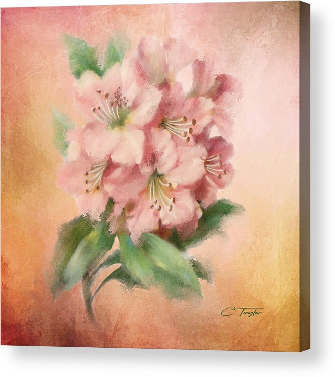 Pink Flower Acrylic Print featuring the painting Glowing Incantation by Colleen Taylor