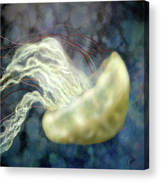 Jellyfish Acrylic Print featuring the digital art Golden Light Jellyfish by Sand And Chi