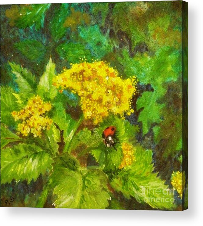 Golden Acrylic Print featuring the painting Golden Summer Blooms by Nicole Angell