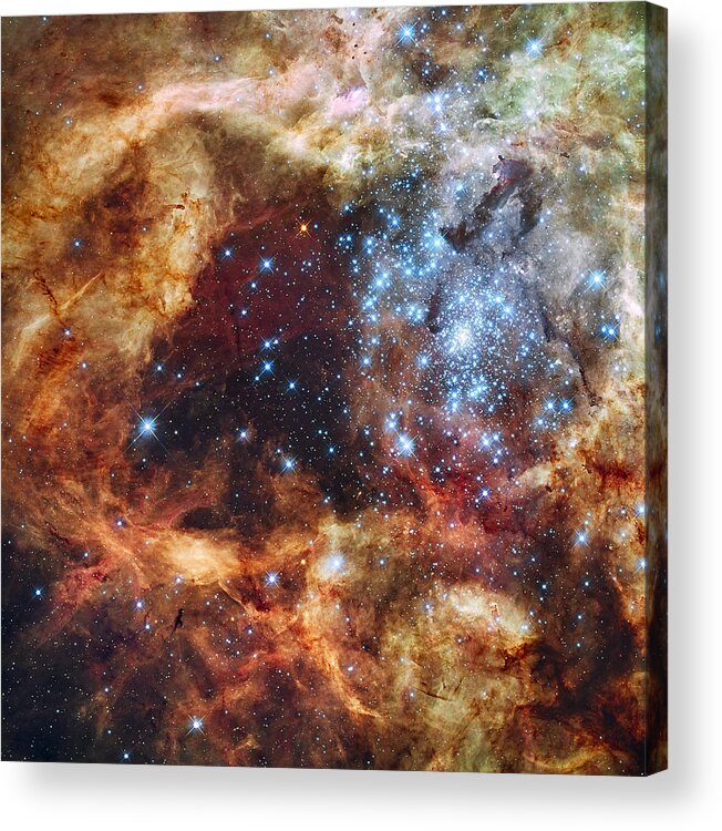 Space Acrylic Print featuring the photograph Grand Star Forming - A Stellar Nursery by Mark Kiver