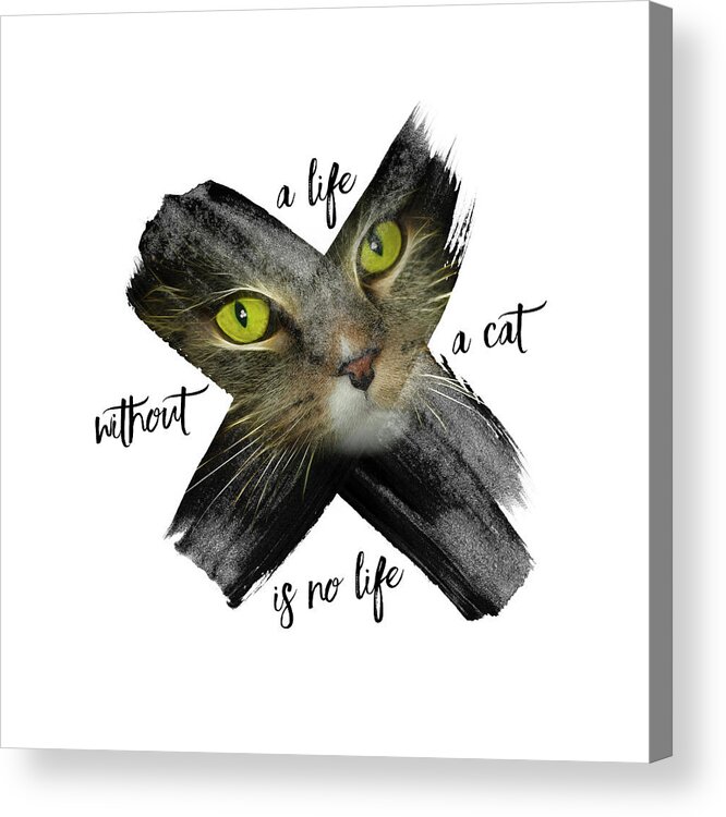 Felidae Acrylic Print featuring the photograph Graphic Art British Shorthair Cat by Melanie Viola