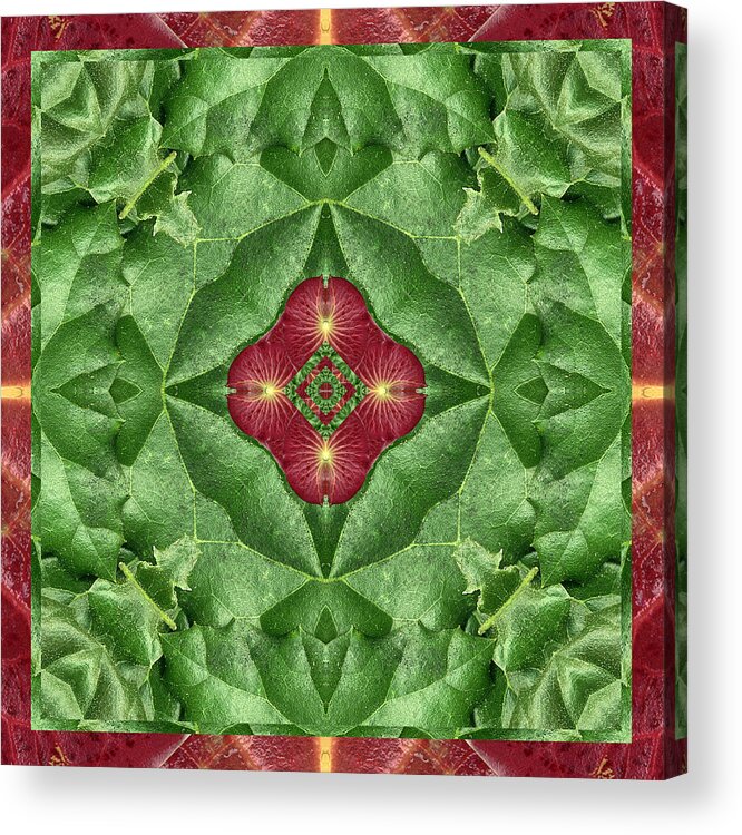 Mandalas Acrylic Print featuring the photograph Green Machine by Bell And Todd