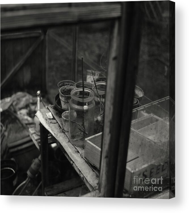 Greenhouse Acrylic Print featuring the photograph Greenhouse by Clayton Bastiani