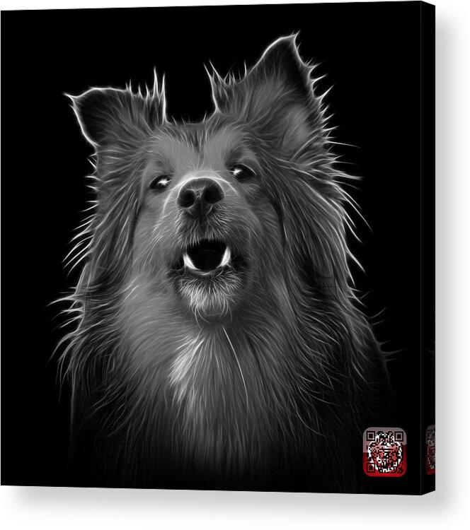 Sheltie Acrylic Print featuring the painting Greyscale Sheltie Dog Art 0207 - BB by James Ahn