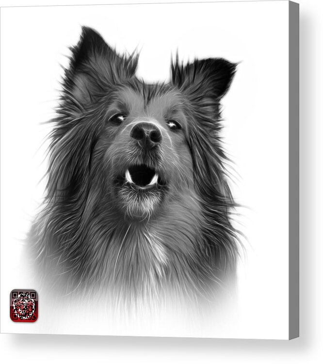 Sheltie Acrylic Print featuring the painting Greyscale Sheltie Dog Art 0207 - WB by James Ahn