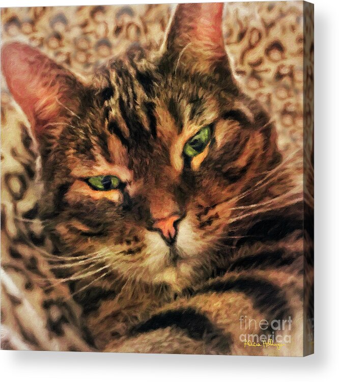 Cat Acrylic Print featuring the digital art Griffin My Bengal Cat by Alicia Hollinger