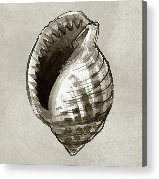Seashell Acrylic Print featuring the painting Grinning Tun by Judith Kunzle