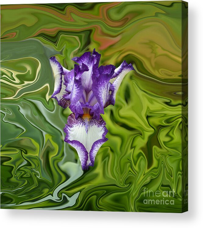 Purple Iris Acrylic Print featuring the photograph Groovy Purple Iris by Rebecca Margraf