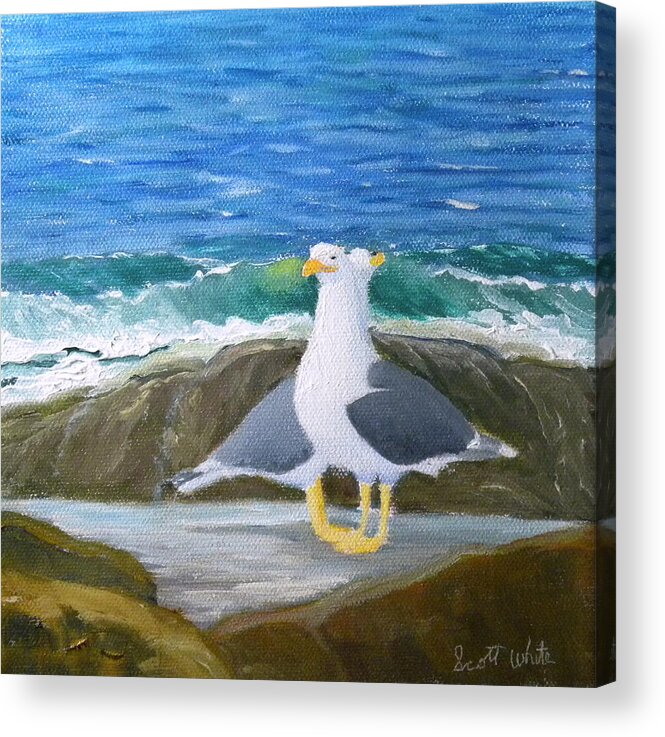 Birds Beach Seagulls Seascape Landscape Rocks Ocean Sea Waves Artist Scott White Acrylic Print featuring the painting Guarding The Land And Sea by Scott W White