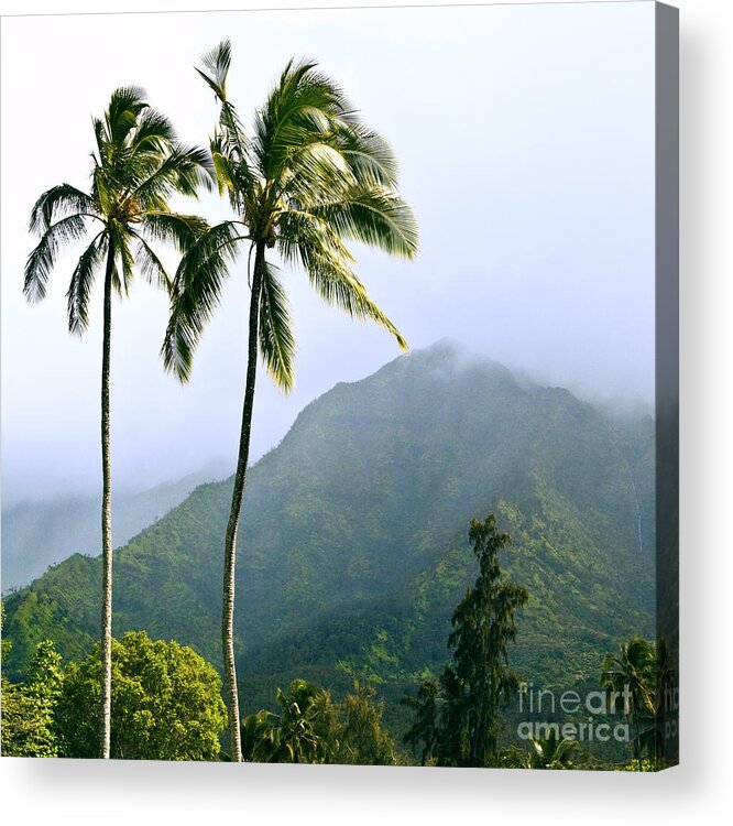 Kauai Acrylic Print featuring the photograph Hanalei by Roselynne Broussard