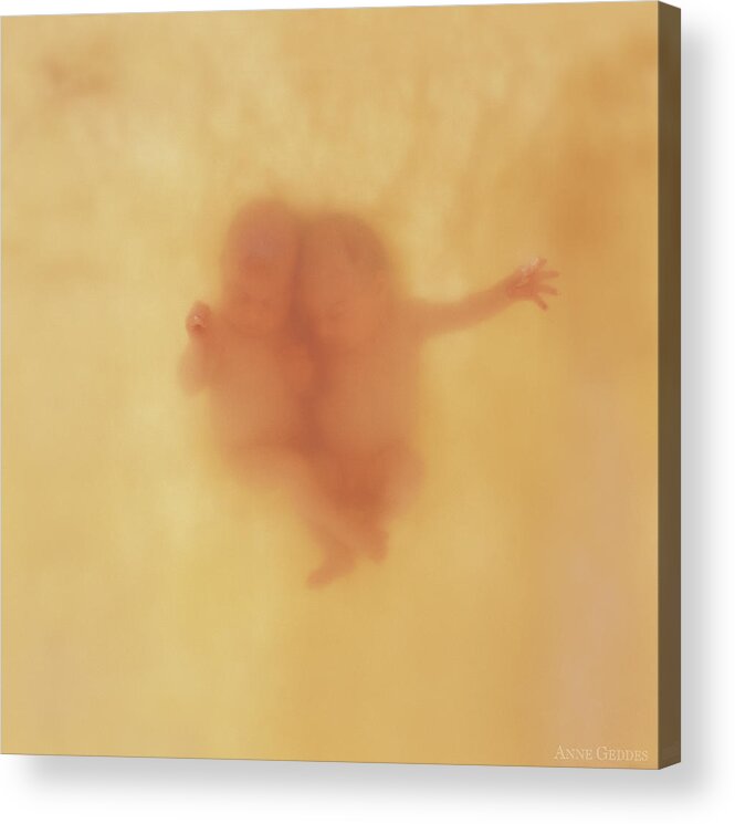 Babies Acrylic Print featuring the photograph Harry and Jack by Anne Geddes