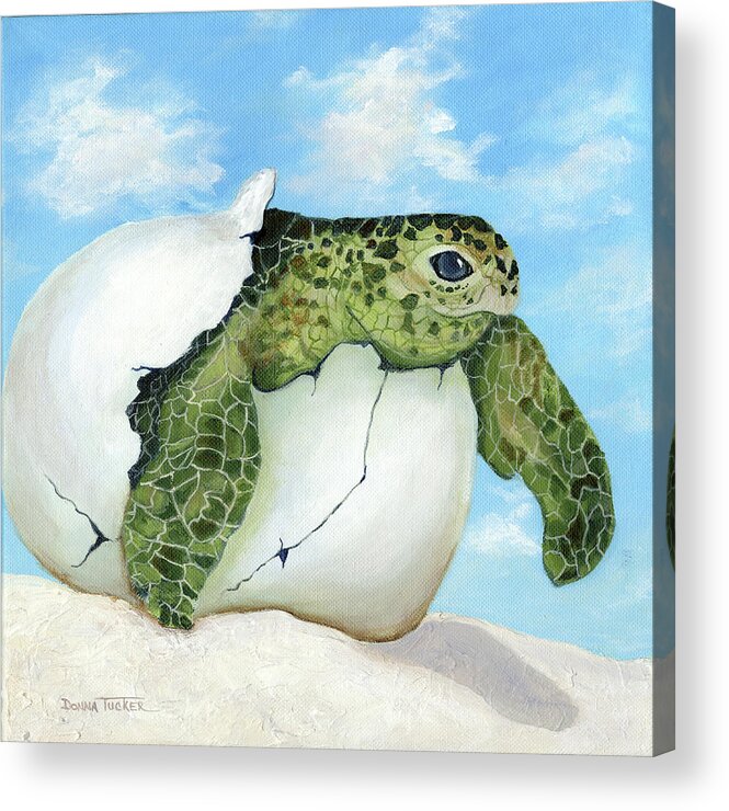 Sea Turtle Acrylic Print featuring the painting Hatcher by Donna Tucker