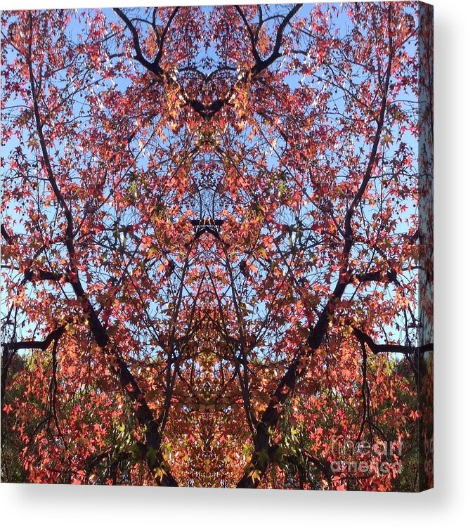 Hues Acrylic Print featuring the photograph Heart by Nora Boghossian