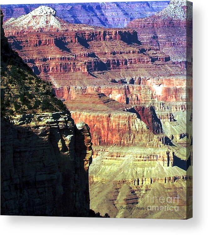 Photograph Acrylic Print featuring the photograph Heritage by Shelley Jones