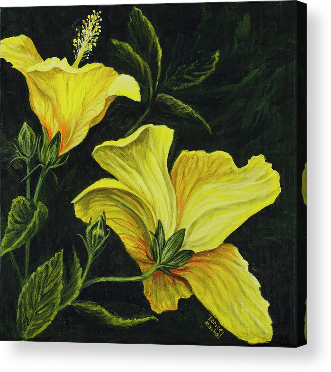 Flower Acrylic Print featuring the photograph Hibiscus 2 by Darice Machel McGuire