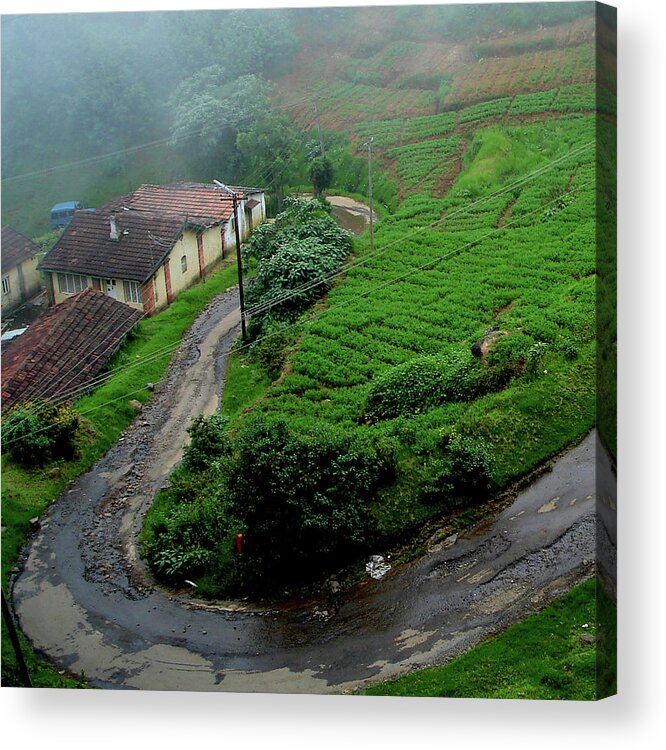 India Acrylic Print featuring the photograph Hillside dwellings near Coonoor, India by Misentropy