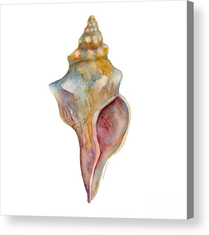 Conch Shell Painting Acrylic Print featuring the painting Horse Conch Shell by Amy Kirkpatrick