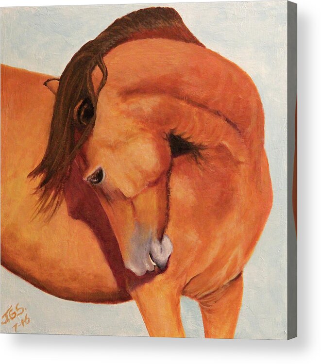 Wild Horse Acrylic Print featuring the painting Horse Curves by Janet Greer Sammons