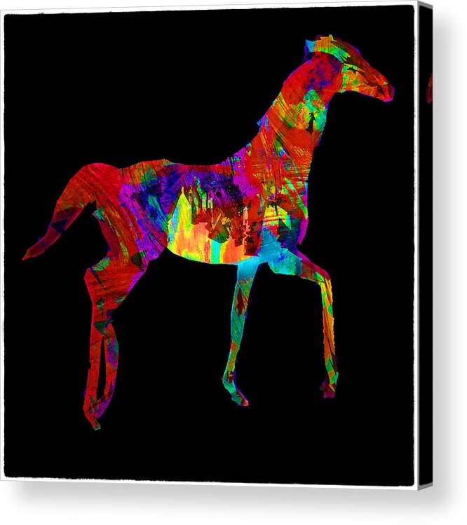 Horse Acrylic Print featuring the photograph Horse by James Bethanis