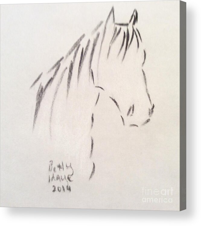 Horse Acrylic Print featuring the drawing Horse-Rest by Betty Kaye