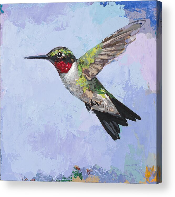 Hummingbird Acrylic Print featuring the painting Hummingbird #3 by David Palmer
