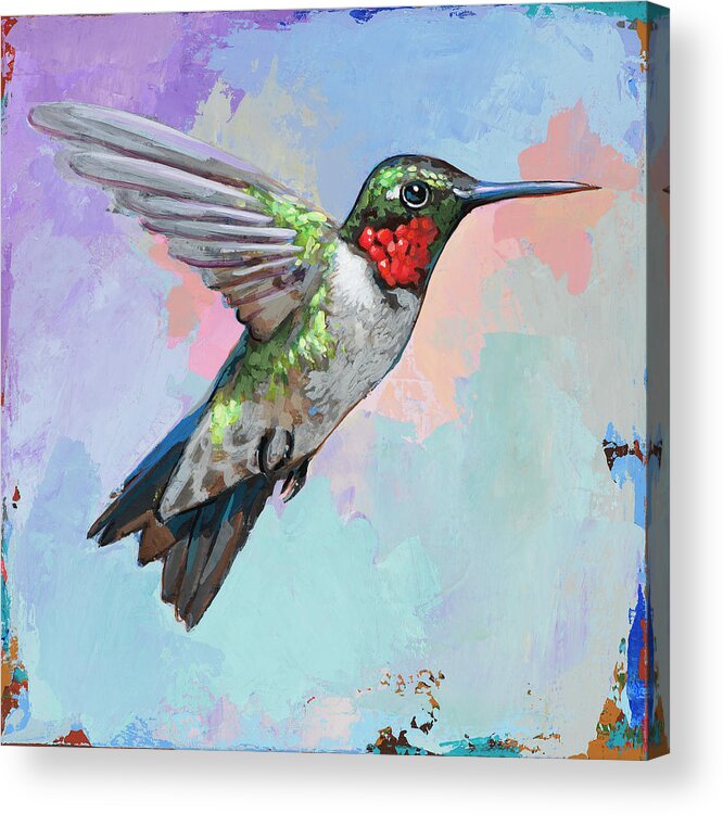 Hummingbird Acrylic Print featuring the painting Hummingbird #4 by David Palmer