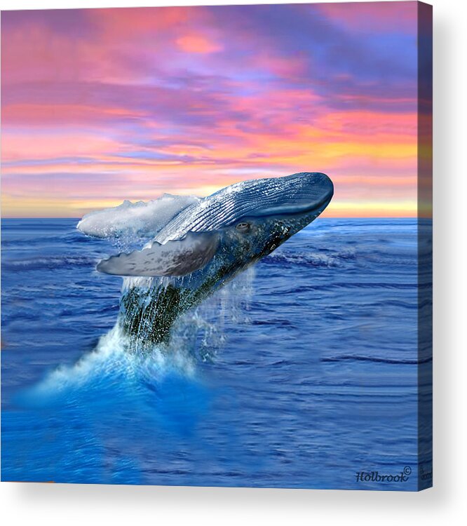 Humpback Whale Acrylic Print featuring the digital art Humpback Whale Breaching at Sunset by Glenn Holbrook